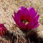 Pareja Joven: Abril 2019 Pareja Joven: Abril 2019