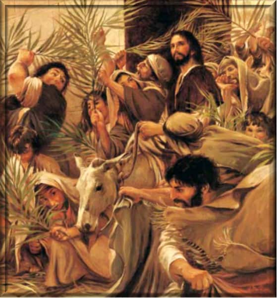Domingo de Ramos 14.04.2019 Domingo de Ramos 14.04.2019