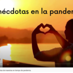 Las profes Las profes